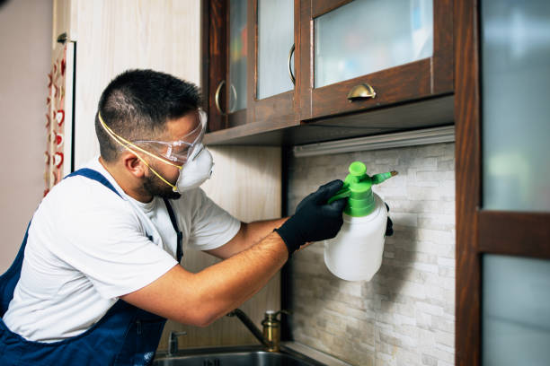 Trusted Garnet, CA Pest Control Experts