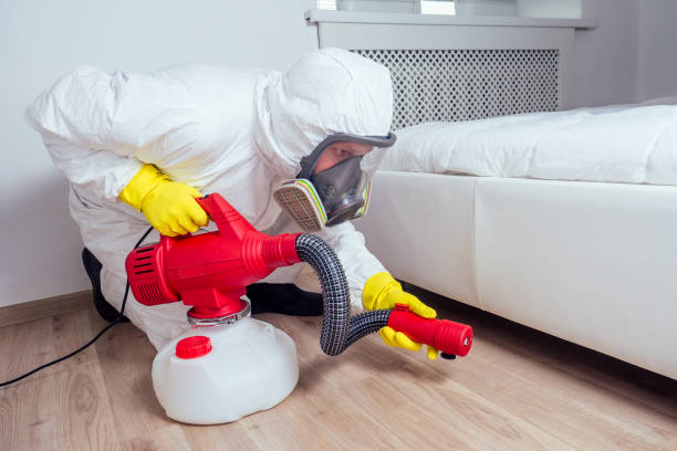 Best Affordable Pest Control Services  in Garnet, CA