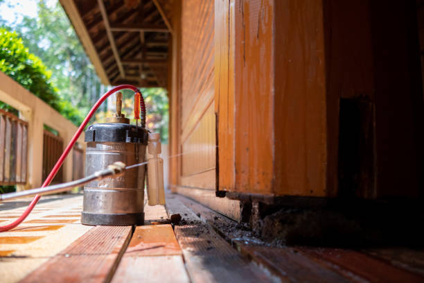 Best Affordable Pest Control Services  in Garnet, CA