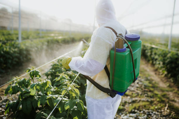 Best Residential Pest Control  in Garnet, CA